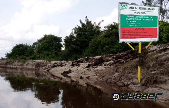 Lakukan Tindak Pidana Lingkungan, Polda Riau Tetapkan PT. Musim Mas Tersangka